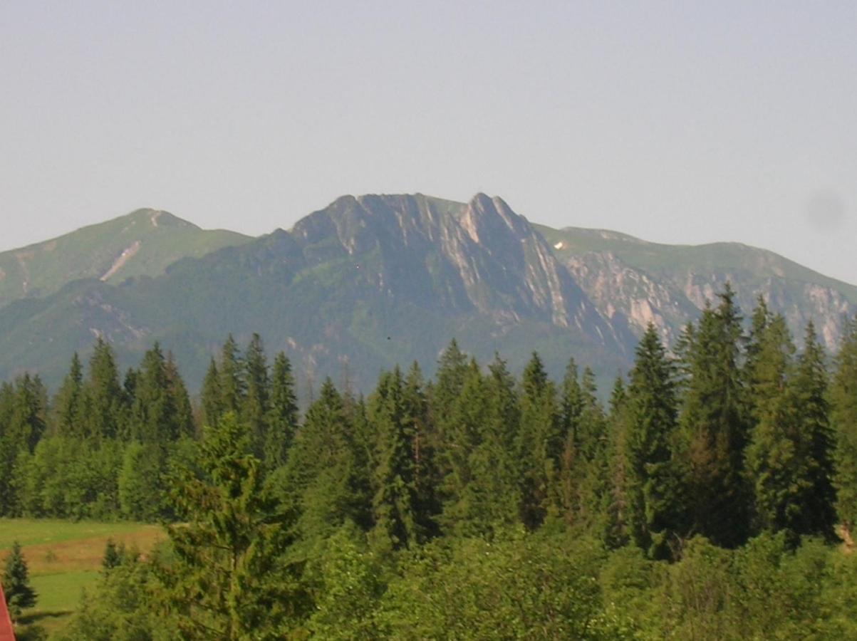 Domek Lilijka Poronin Buitenkant foto